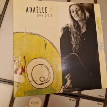 Pochette de disque 13