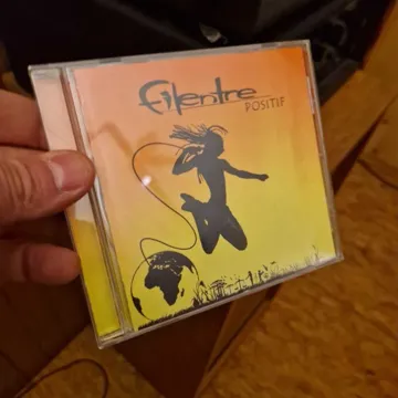 Pochette de disque 12