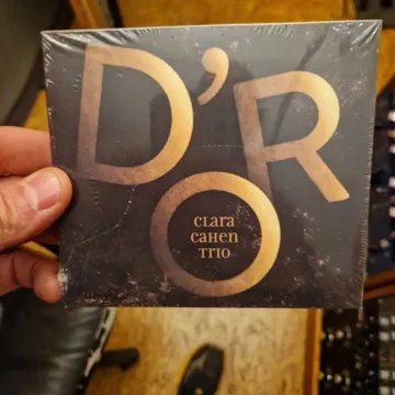 Pochette de disque 33