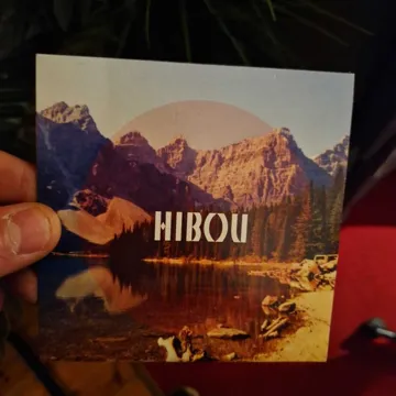 Pochette de disque 53